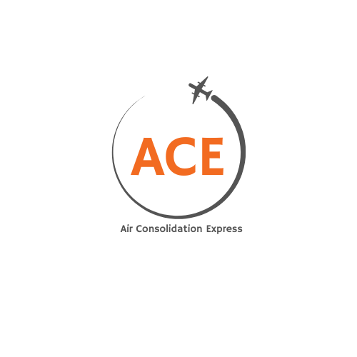 ACE - AIR CONSOLIDATED EXPRESS LLC